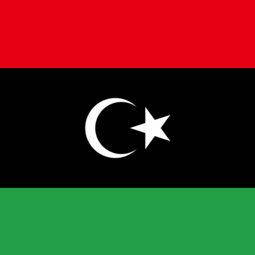 利比亚双清专线